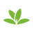 icon org.plantnet 3.3.24