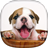 icon Puppy Live Wallpaper 2.0