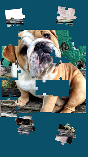 Picture Puzzle: Free Jigsaw Memory Game