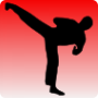 icon Taekwondo training