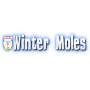 icon Winter Moles