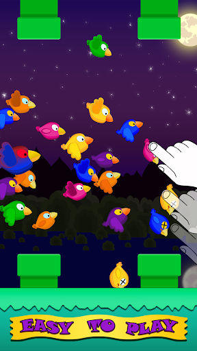 Fun Birds Game