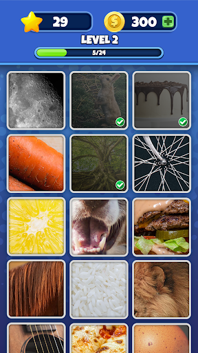 Guess it! Zoom Pic Trivia Game