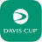 icon Davis Cup 4.1.5