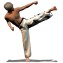 icon Taekwondo Forms (Sponsored)