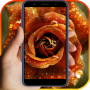 icon Rare Flower Live Wallpapers 4K Free Roses Library