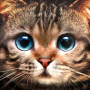 icon Kitty Cat Live Wallpaper