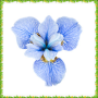 icon Iris Flowers Onet Connect Game for Huawei MediaPad M3 Lite 10