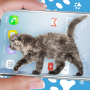 icon Cat Walks in Phone Cute Joke for Samsung S5830 Galaxy Ace