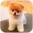 icon Pomeranian Dog Simulator 1.0.2