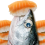 icon com.HelloFish.Salmon