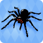 icon Spider Solitaire for iball Slide Cuboid