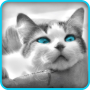 icon Tile Puzzle: Cute Kittens 2