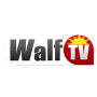 icon WALF TV - CHROMECAST for iball Slide Cuboid