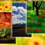 icon Nature Wallpapers 1