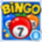 icon Bingo 3.3.3g