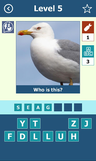 Birds: Quiz