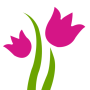 icon Tulips World School
