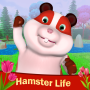 icon Hamster Life: Farm Town for iball Slide Cuboid