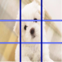 icon Dog Puzzle 2016 for Samsung Galaxy Note 10 1