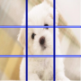 icon Dog Puzzle 2016 for iball Slide Cuboid