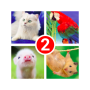 icon Guess the word 2! ~ 4 Pictures for intex Aqua A4