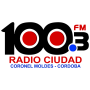 icon RADIO CIUDAD DE CORONEL MOLDES FM 100.3