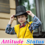 icon Attitude Status