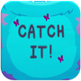 icon Catch It!