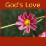 icon God's Love -Quotes&Meditations