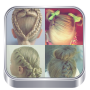 icon Cute girl hairstyles for Samsung S5830 Galaxy Ace