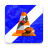 icon Examen De Manejo El Salvador 6.3.1