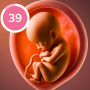 icon Pregnancy Tracker
