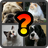 icon Guess the Animal Cat or Dog? 4.8.0z