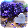 icon Love Flowers Live Wallpaper for Sony Xperia XZ1 Compact