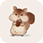 icon Munching Squirrel 1.0.0