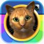 icon InstaKitty 3D-Virtual Cat Sim