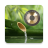 icon Water & Gong 5.8.3