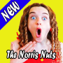 icon Norris Nuts