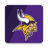 icon Vikings 5.6.1