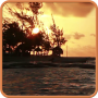 icon Sunset and ocean. for Samsung S5830 Galaxy Ace