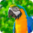 icon 7Fon Parrots 5.8.04