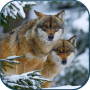 icon Wolves in winter