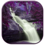 icon Purple nature
