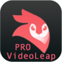 icon assistant For videoleap