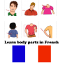 icon Body Parts French