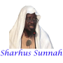 icon Sharhus Sunnah