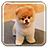 icon Puppy Live Wallpaper 1.5
