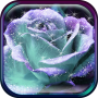 icon 3D Rose Live Wallpaper