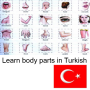 icon Body Parts Turkish